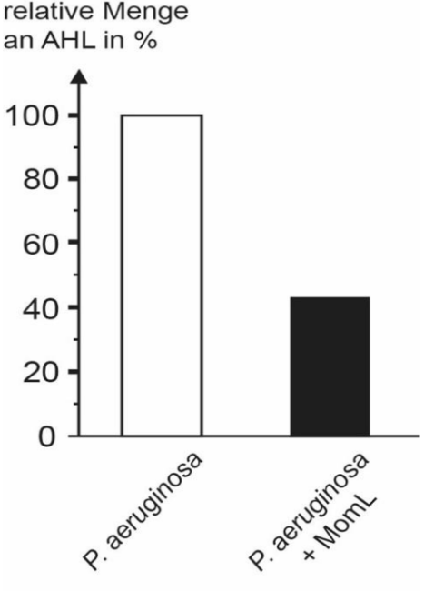 Balkendiagramm zur relativen Menge von AHL bei P. aeruginosa und P. aeruginosa mit MomL.